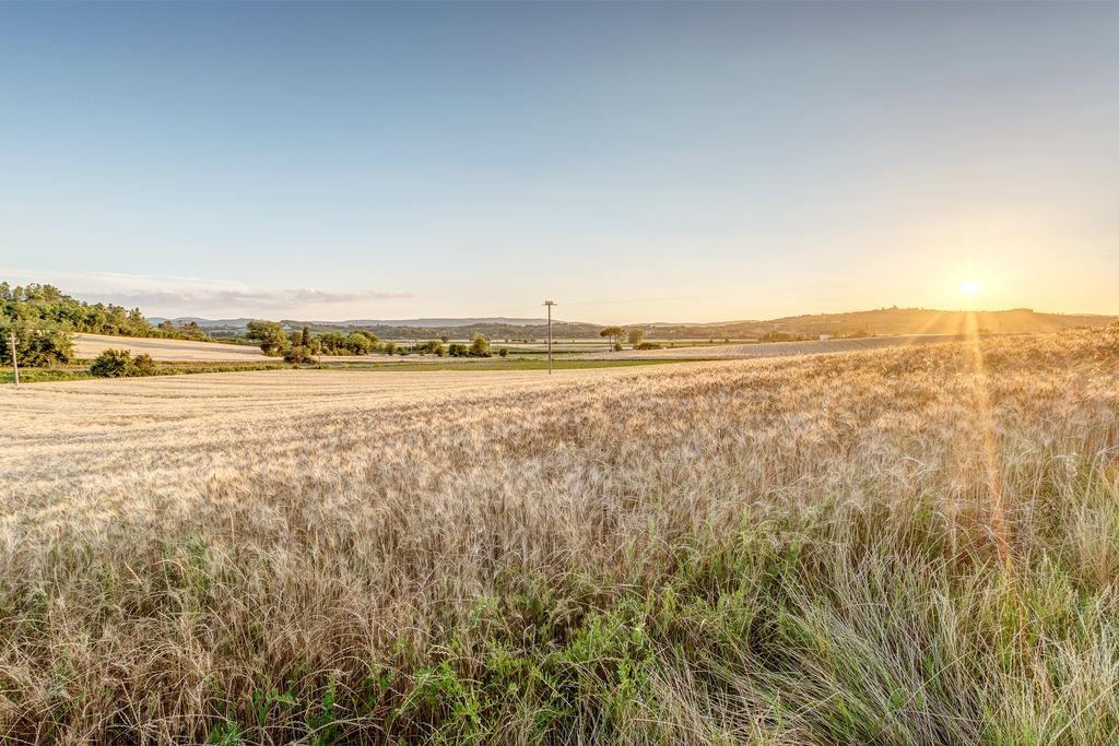 Agriturismo Il Poggiarello Foiano Della Chiana Luaran gambar